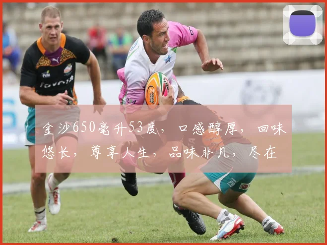 金沙650毫升53度，口感醇厚，回味悠长，尊享人生，品味非凡，尽在这一瓶中。