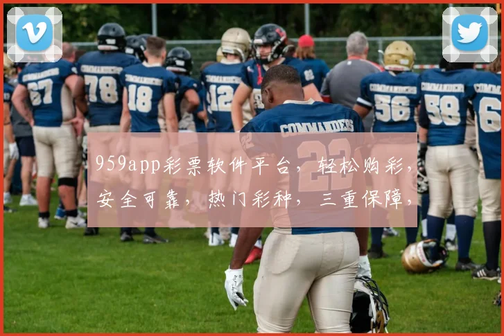 959app彩票软件平台，轻松购彩，安全可靠，热门彩种，三重保障，必看攻略